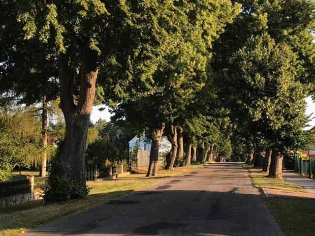 Vila Siesta Country Świebodzin Exteriér fotografie
